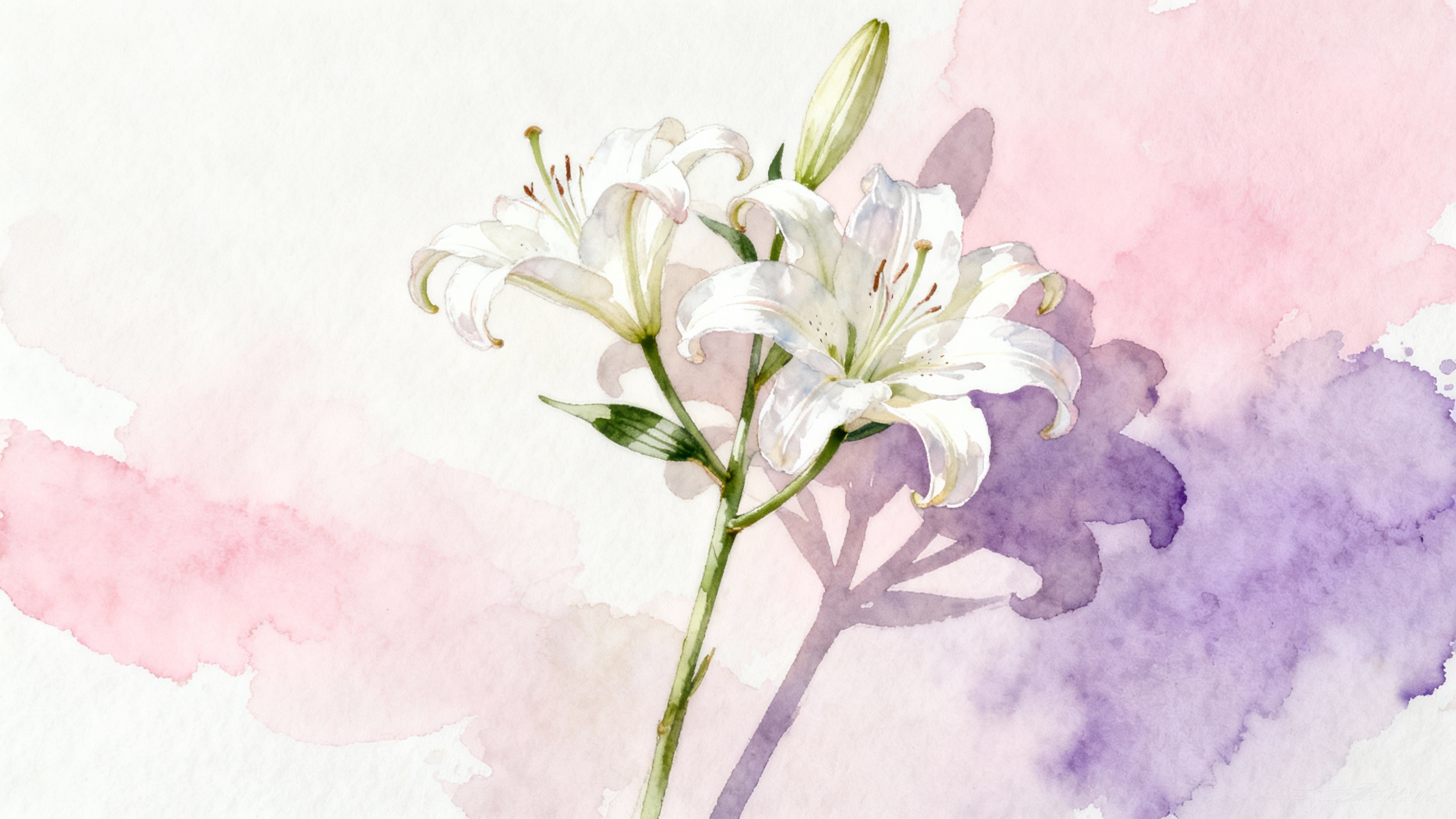 Featured image for Finding Hope: Addressing Fertility Concerns in Lichen Sclerosis