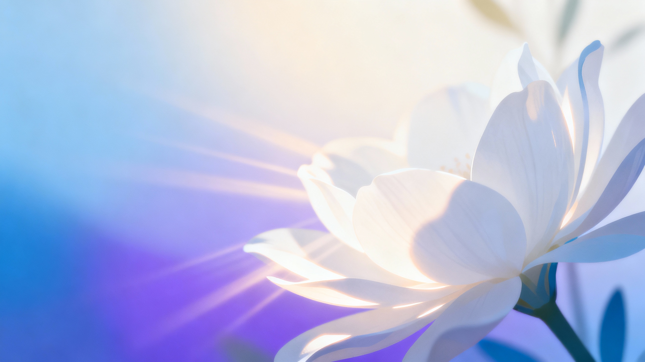 Featured image for From Agony to Relief: Effective Pain Management for Lichen Sclerosis